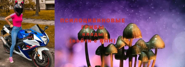 ешки Абинск