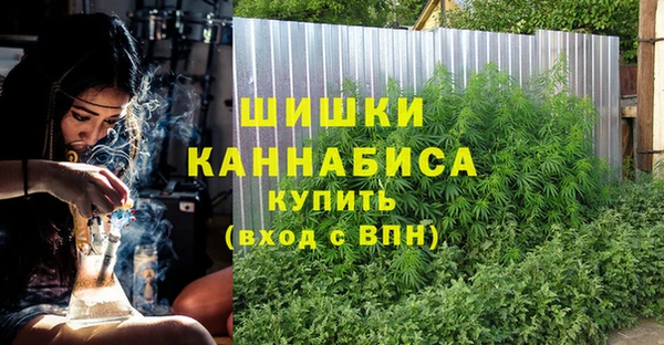 молекула духа Няндома