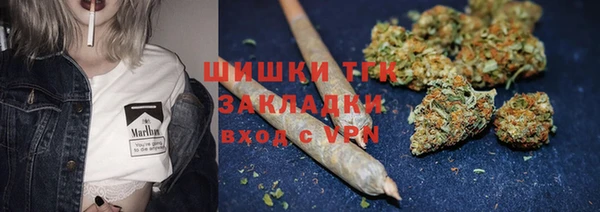 ПСИЛОЦИБИНОВЫЕ ГРИБЫ Абаза