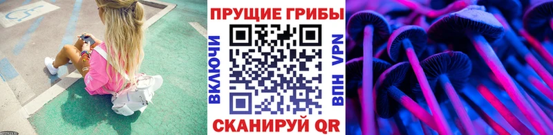 Галлюциногенные грибы мухоморы  где купить наркоту  Кировград 