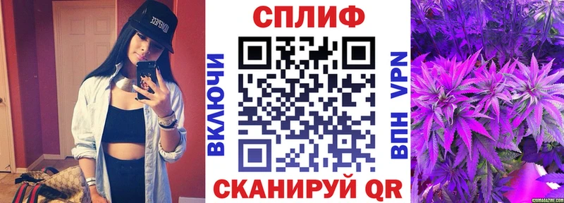 OMG как войти  Кировград  Марихуана марихуана 